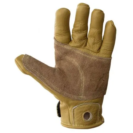 Belay Glove