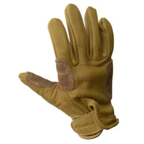 Belay Glove